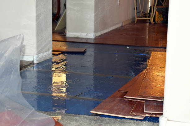 Professional Sewage Cleanup technician working in Winslow, NE